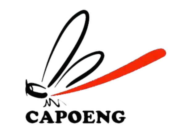 Logo CDN Services